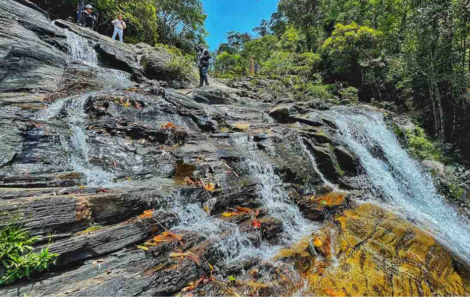 Bach Ma National Park Vietnam